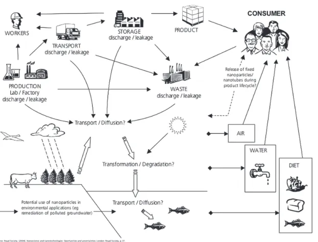 Figure 8: Possible exposure routes for current and future nanomaterial applications.  