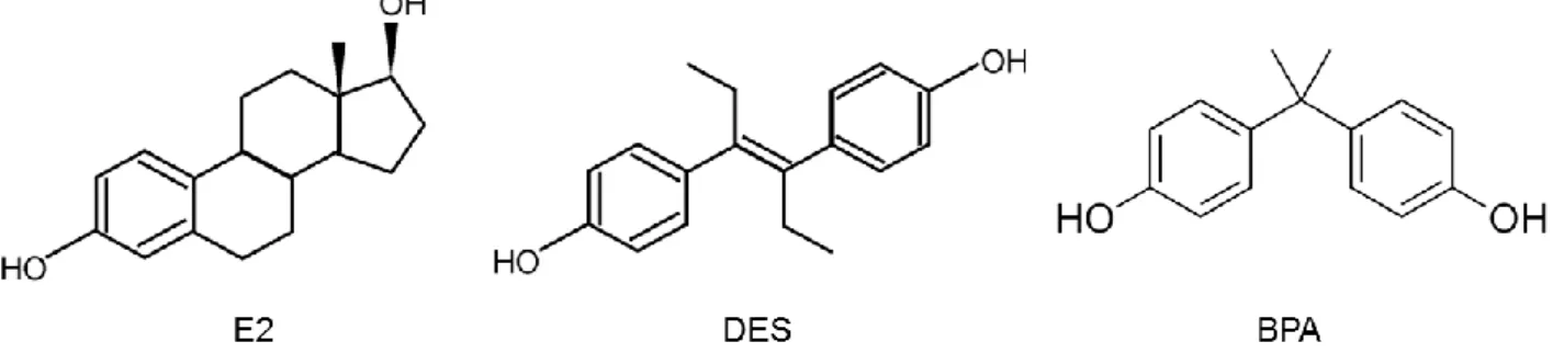Figure  1.  Structures  chimiques  de  l’œstradiol  (E2),  du  diéthylstilbestrol  (DES)  et  du  bisphénol A (BPA)