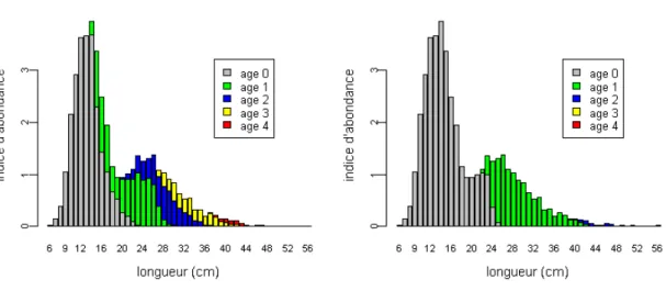 Figure 5 : Composition en longueur par groupe d'âge pour la campagne FR-EVHOE 2003 à partir de la clé  taille-âge traditionnelle (à gauche) et de la clé taille-âge simulée (à droite) (Bertignac et de Pontual, 2007).