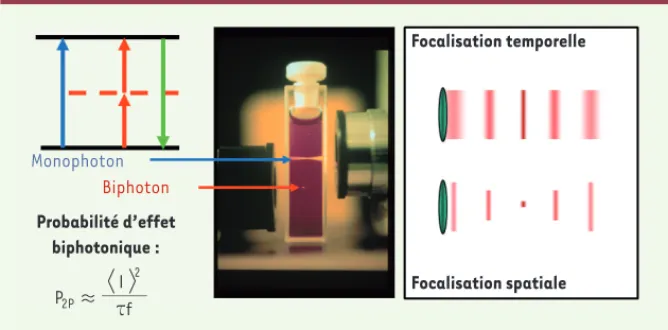 Figure 1. Effet biphotonique. L’excitation biphotonique se base sur l’absorption « simultanée » de  deux photons (rouge ou infrarouge) pour qu’une molécule (fluorophore ou outil optogénétique)  passe de l’état de repos à l’état excité