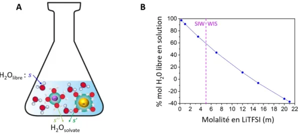Figure  2 : (A) Représentation schématique des deux populations d’eau. (B) Effet de  l’augmentation de la  molalité en LiTFSI sur le pourcentage molaire d’eau libre en solution