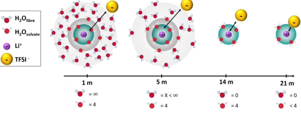 Figure 3 : Illustration de l’effet de la concentration en sel sur la sphère de solvatation des cations lithium