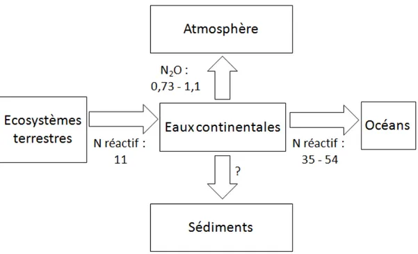 Figure 1.3 – Bilan d’azote dans les eaux continentales (en Tg (N) an −1 ) (D’après Van Drecht et al.