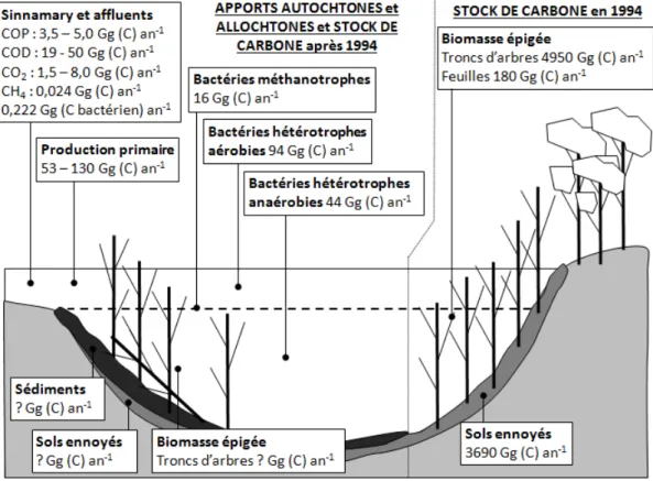 Figure 2.4 – Stock de carbone et flux entrants de carbone dans le lac de barrage de Petit Saut d’après Hoff (1993), Galy-Lacaux (1996), Richard (1996), Dumestre (1998), Abril et al