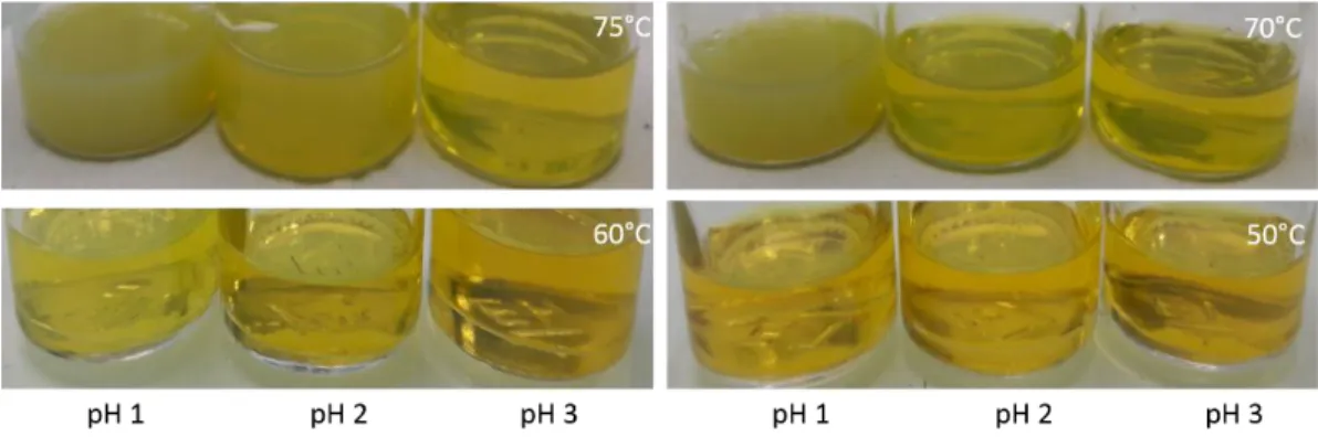 Figure II.1: An image showing the colour change in sols when synthesized at different pH and temperatures
