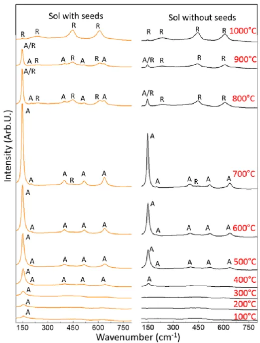 Figure II.3: Raman spectra of films with and without seeds after calcination at various temperatures