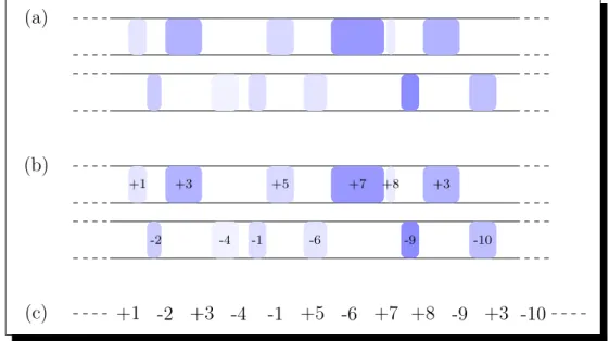 Figure 1.3 – Repr´ esentation d’une s´ equence de g` enes. (a) Un g´enome est compos´e de g`enes align´es sur deux brins compl´ementaires