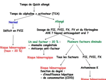 Figure 1 : diagnostic d’une anomalie de la coagulation. 