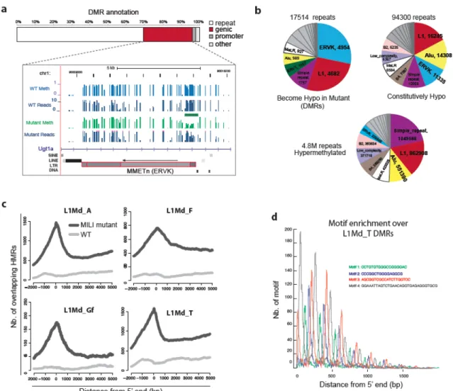 Figure 2.2: piRNA-mediated de novo methylation is restricted to distinct  transposon copies
