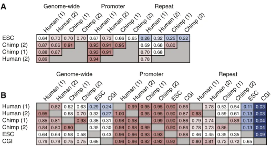 Figure 1. A Global View of Sperm and ESC Methylomes