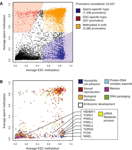 Figure 2. Differentially Reprogrammed Genes and Their Functions