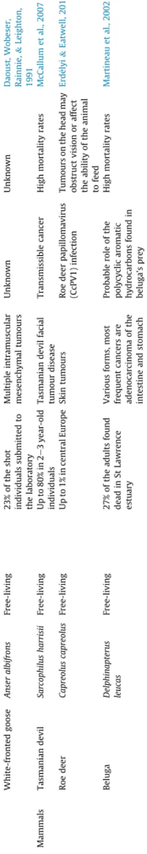 Figure 1. Cancer impact on survival: the importance of considering biotic interactions.