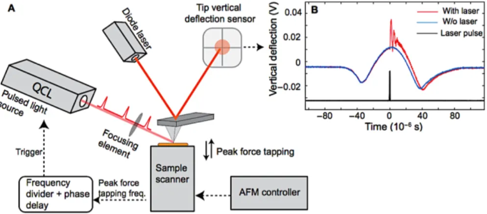 Figure 3.2.2.: Operational scheme of PFIR microscopy: (A) Operation diagram of PFIR;