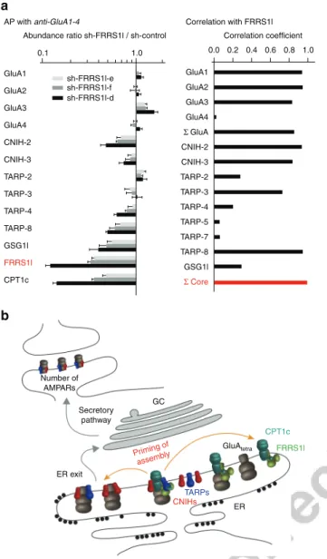 Figure 8 | Operation of FRRS1l/CPT1c complexes in AMPAR biogenesis in the ER. (a) Left panel: Abundance ratios (mean ± s.e.m