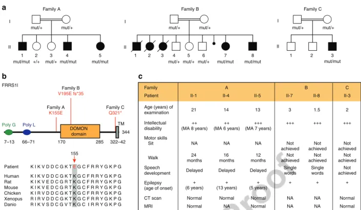 Figure 3 | Mutations in FRRS1l identiﬁed as disease causing in patients with severe intellectual disability