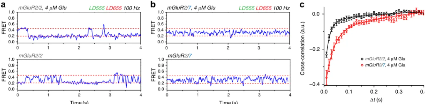 Fig. 7 Fast glutamate-induced conformational dynamics in mGluR2/7. SNAP-mGluR2/SNAP-mGluR2 (mGluR2/2) and CLIP-mGluR2/SNAP- CLIP-mGluR2/SNAP-mGluR7 (m,GluR2/7) at a glutamate concentration near the EC50 (4 µ M) imaged at 10× speed (100 Hz) with photobleach