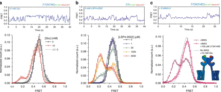 Fig. 2 Increasing mGluR7 ef ﬁ cacy. a – c Representative smFRET traces (top) and smFRET histograms (bottom) of homodimers of SNAP-mGluR7(N74K) (0 Glu: 4 movies, 124 moleucles, 10 mM Glu: 4 movies, 140 molecules, s.e.m