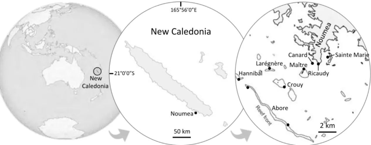 Figure 2.1.1. Map indicating survey sites in the southwest lagoon of New Caledonia.