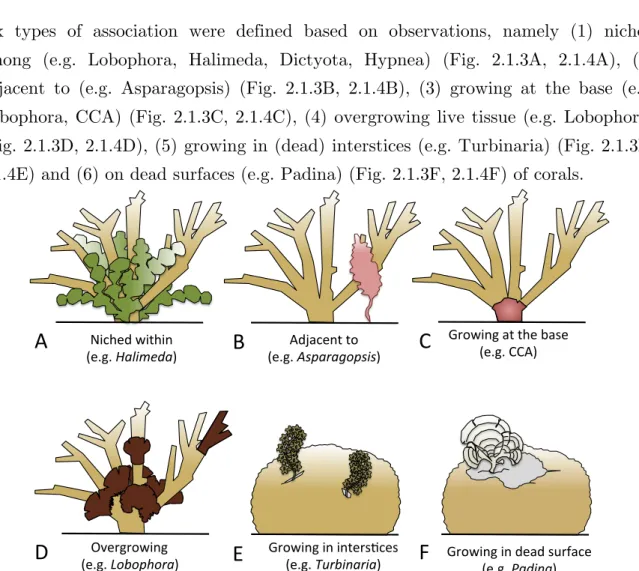 Figure 2.1.3. Schematic representation of the six typologies of interactions identified