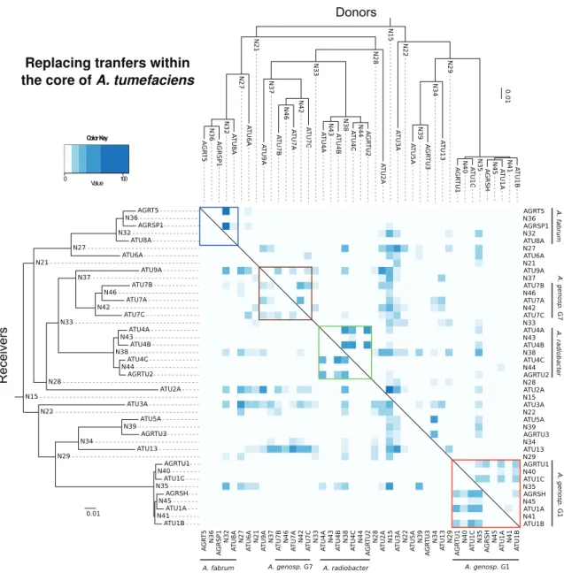 Figure 2.10: Intensity of gene transfers whithin A. tumefaciens.