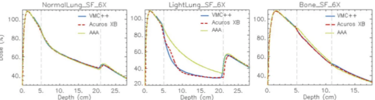 Figure 1.14: Depth dose curves for a photon 6MV beam calculated with VMC (in blue), Acuros XB version 10 (in red), and AAA (in yellow) in a heterogeneous phantom.