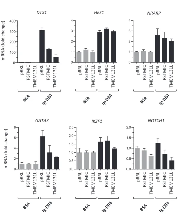 Fig. 3. Effect of TMEM131L on CD34 þ HPC transcriptional responses to Notch1 ligation.