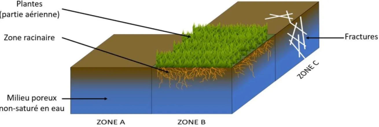 Figure I-5 : Représentation des différentes réponses d’un système à des variations environnementales  pouvant influencer un flux de gaz émis à la surface