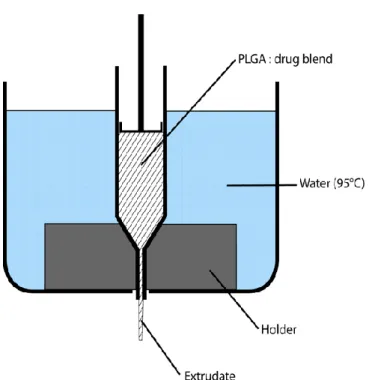 Figure 2.1: Schematic presentation of the experimental set-up used to prepare dexamethasone  implants by hot melt extrusion
