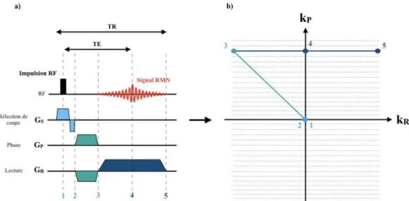 Figure 8 - Chronogramme d’une séquence Echo de Gradient 2D et échantillonnage  de l’espace de Fourier correspondant