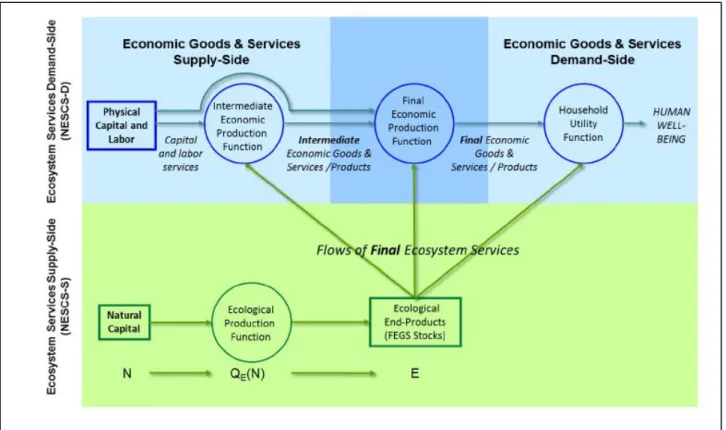 Figure 1.5  Exemple de cadre &#34;orienté-bénéficiaire&#34;: le NECS-CS (EPA, 2015)