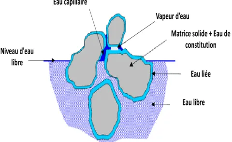 Figure II-2 : Différentes formes de l'eau dans un milieu poreux humide, adapté de [9]