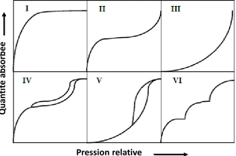 Figure II-3 : Différents types d'isothermes selon la classification de l'IUPAC [16]. 