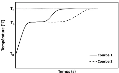 Figure II-7 : Évolution de la température de surface pendant le séchage. 
