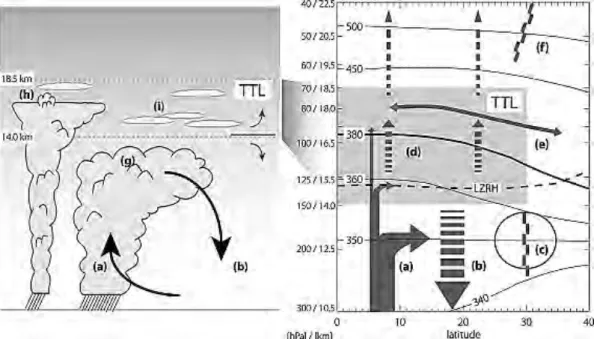 Figure 1.1 – Schematic (left) of cloud processes and transport and (right) of zonal mean circulation