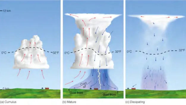 Figure 2.4 – Three different stages of deep convective development. (Image cour- cour-tesy of Thomson Higher Education.)