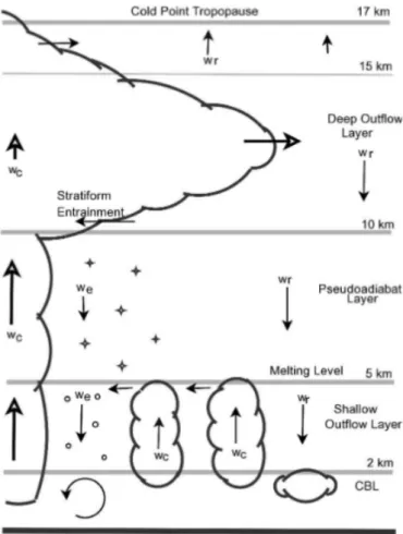 Figure 2.7 – Vertical profile of the mass flux associated with in-cloud heating (w c ), clear sky evaporative cooling (w e ), and clear-sky radiative cooling (w r ), (Folkins and Martin, 2005)