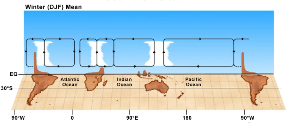 Figure 2.10 – Walker circulation: Schematics of the (upper) Pacific Walker Circu- Circu-lation and (lower) global Walker CircuCircu-lation for Winter (DJF) based on  computa-tions of upper and lower tropospheric divergent winds.