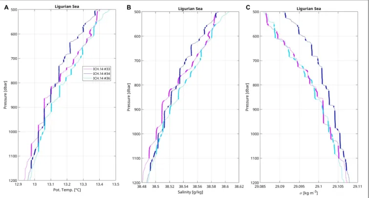 FIGURE 4 | Vertical profiles in staircases of (A) potential temperature, (B) salinity, and (C) potential density of stations located in the Ligurian sea during ICHNUSSA 2014