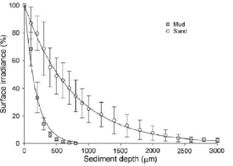 Figure  2.  Diminution  de  l’irradiance  dans  des  sédiments  vaseux  ou  sableux  selon  un  gradient  de  profondeur (Cartaxana et al., 2011)