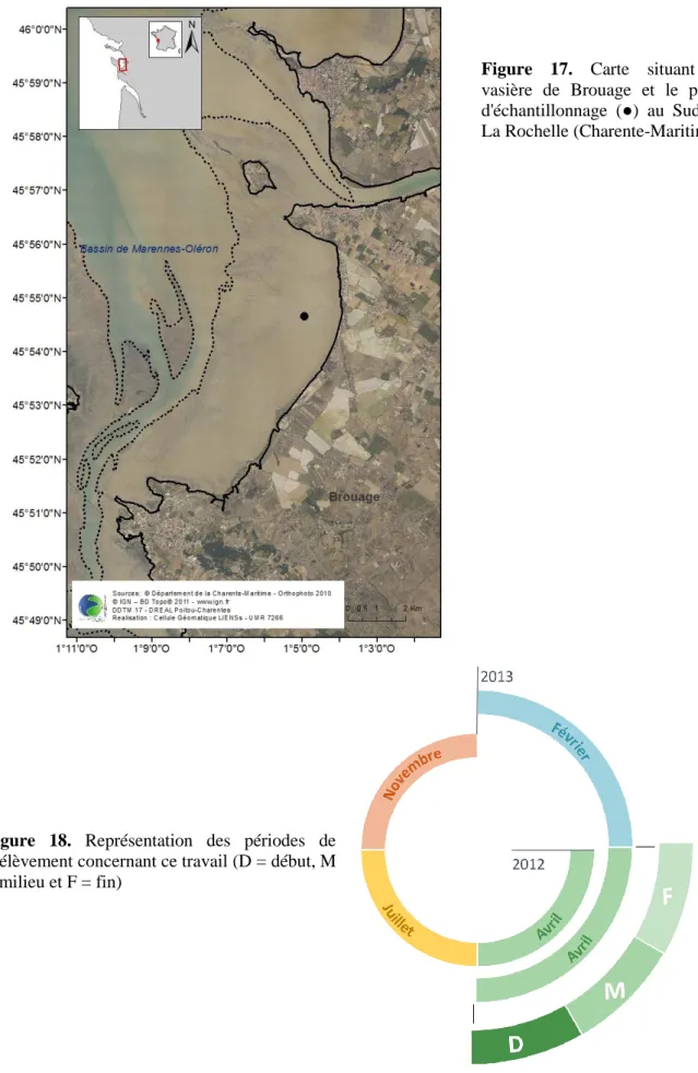 Figure  18.  Représentation  des  périodes  de  prélèvement concernant ce travail (D = début, M 