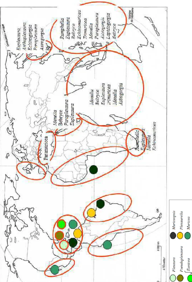Fig.  1.13:  Distribution  des  genres  Plexauridae  vivant  préférentiellement  dans  les  eaux  superficielles (0-50m) au niveau mondial (pastilles de couleur pour les genres présents dans la  zone  ouest  Atlantique  tropicale  et  noms  de  genres  écr