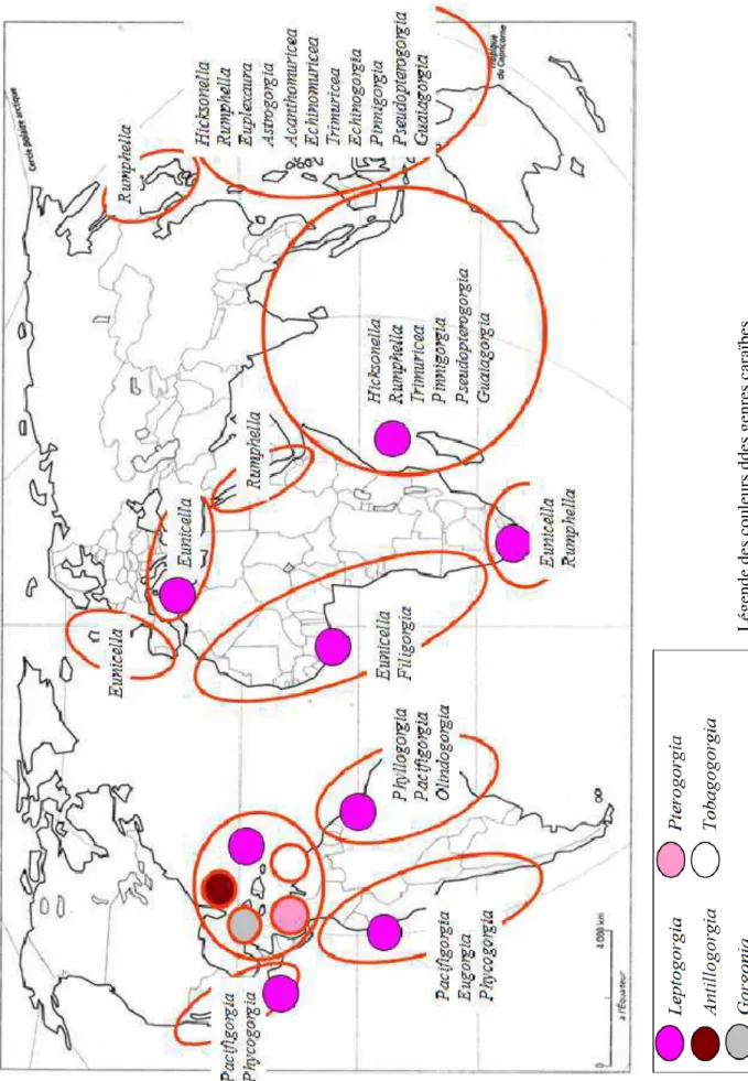 Fig.  1.14:  Distribution  des  genres  Gorgoniidae  vivant  préférentiellement  dans  les  eaux  superficielles (0-50m) au niveau mondial (pastilles de couleur pour les genres présents dans la  zone  ouest  Atlantique  tropicale  et  noms  de  genres  écr