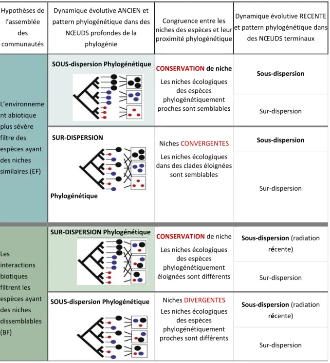 Figure 1. Hypothèses et huit scenarios  