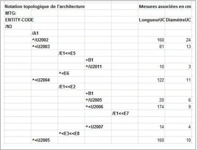 Figure 6: Structure de données MTG : l‟arbre est décrit de la base vers la cime 
