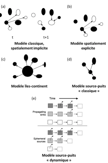 Figure  1.5  Présentation  des  différents  modèles  de  dynamiques  de  populations  structurées  en  métapopulations