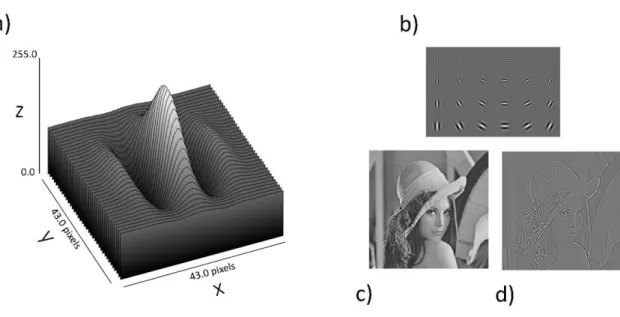 Figure 2.6  Principes des filtres de Gabor. a) Représentation d’une fonction de Gabor, avec les pixels  en x et en y, et les niveaux de gris en z allant de 0 à 255