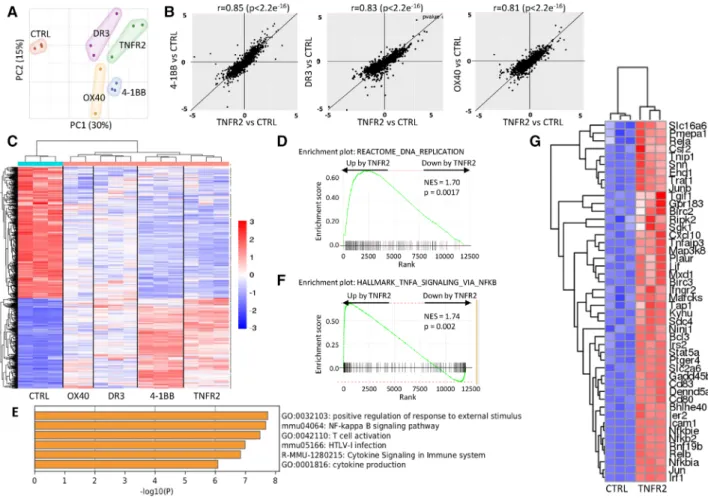 Figure 2. Different TNFRSF agonists induced a similar transcriptomic signature. RNA sequencing was performed on Tregs stimulated with anti- anti-CD3/CD28 mAbs and agonists of TNFRSF for 18 h