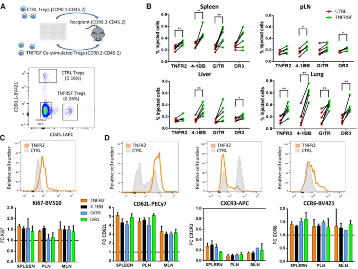 Figure 5. TNFRSF costimulation increased Treg in vivo expansion and modified Treg tissue recirculation