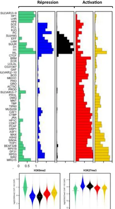 Figure 8 : Différentes « couleurs » de la chromatine caractéri- caractéri-sées par différentes combinaisons de protéines et de marques  histones