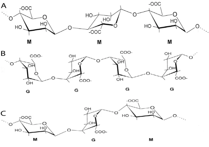 Figure 13. Chemical structures of alginates from brown algae. Alginates are linear anionic copolymers of β-1,4- β-1,4-d- mannuronic acid and of its C5 epimer, α -1,4-l-guluronic  acid